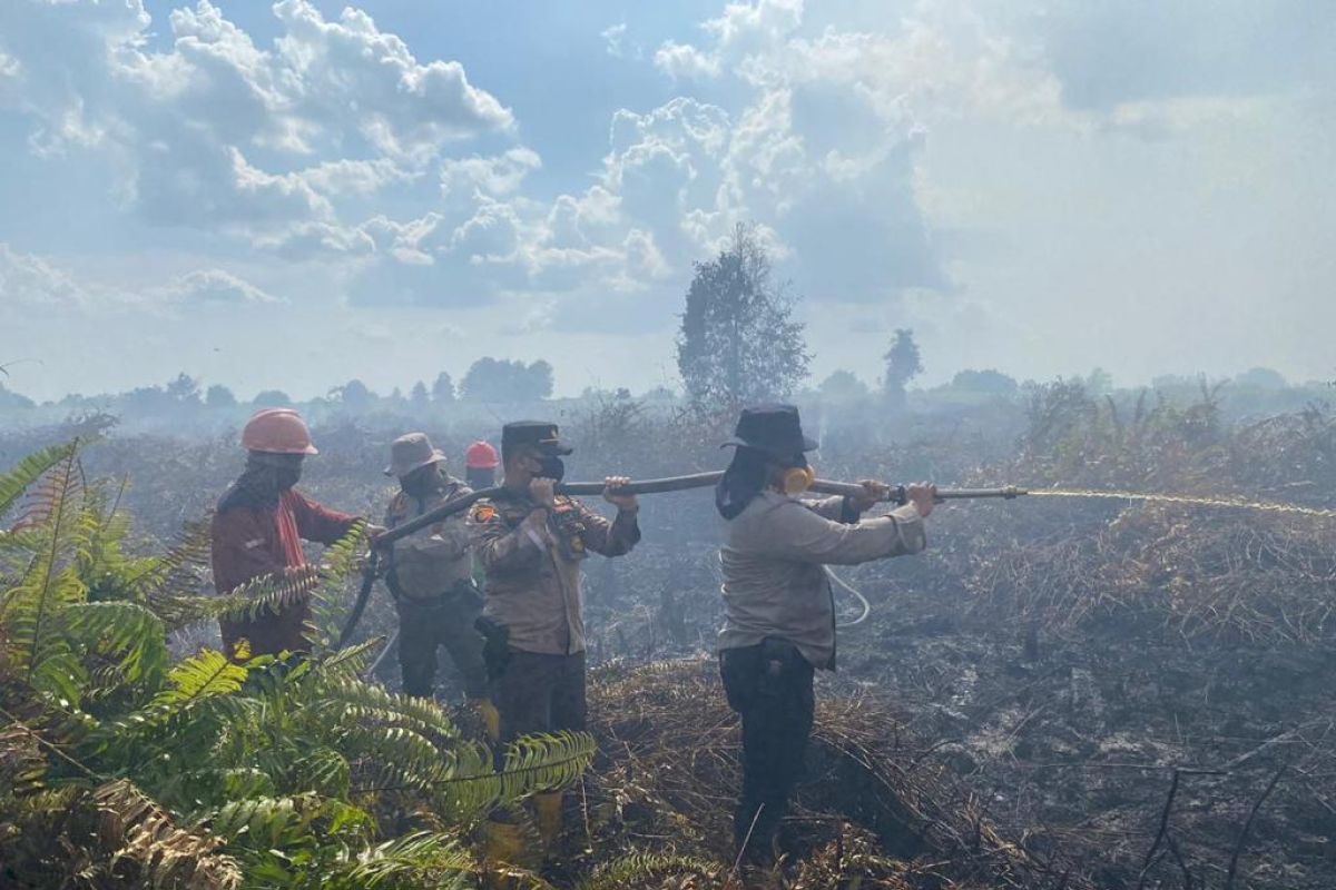 20 hektare lahan terbakar di Rohul berhasil dipadamkan