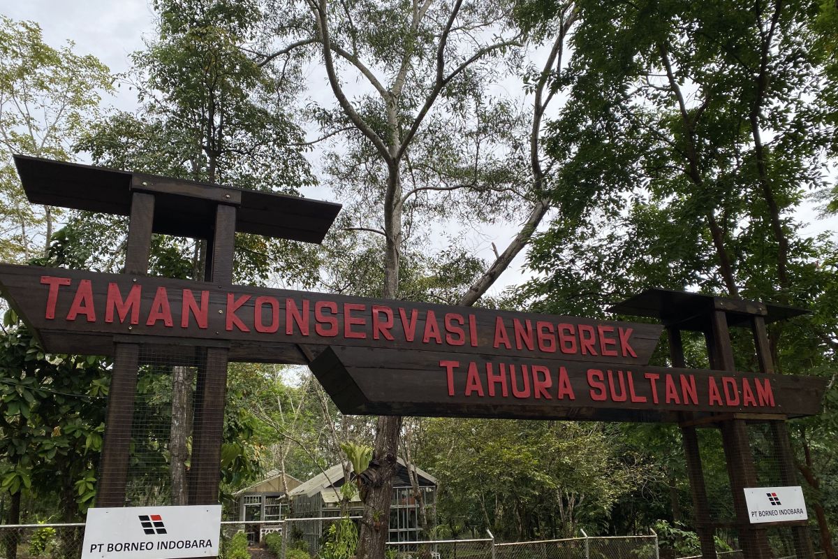Dishut Kalsel konservasi 110 anggrek spesies di Tahura Sultan Adam