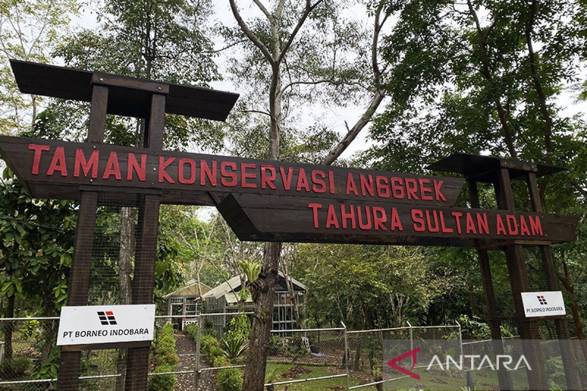S Kalimantan's Sultan Adam Forest housing over 100 rare orchids