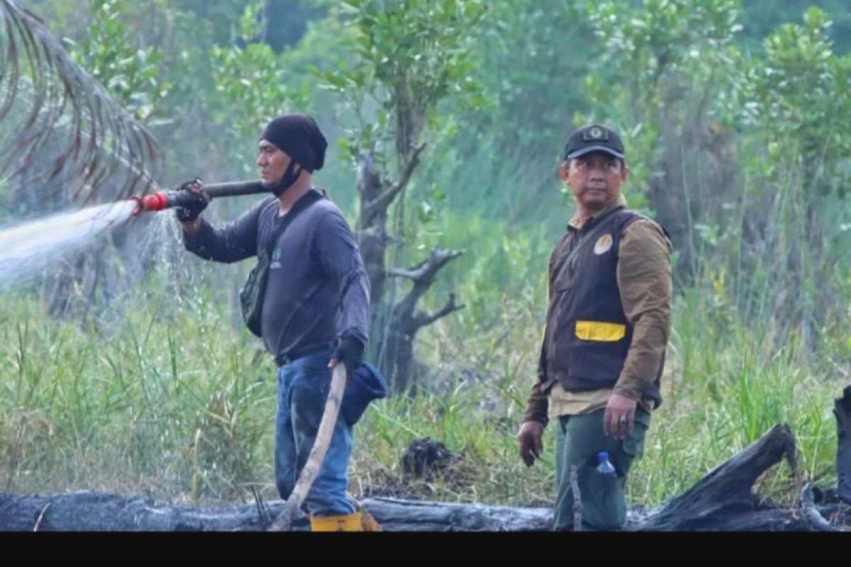 BBKSDA Riau pantau karhutla di Cagar Biosfer Giam Siak Kecil