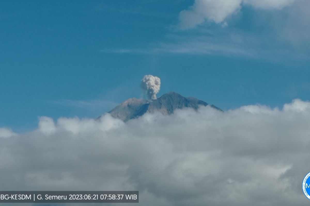 Gunung Semeru erupsi dengan lontaran abu vulkanik setinggi 600 meter ke arah utara