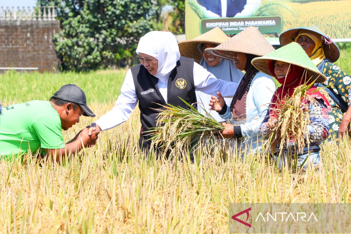 Gubernur Khofifah apresiasi inovasi petani di Jawa Timur
