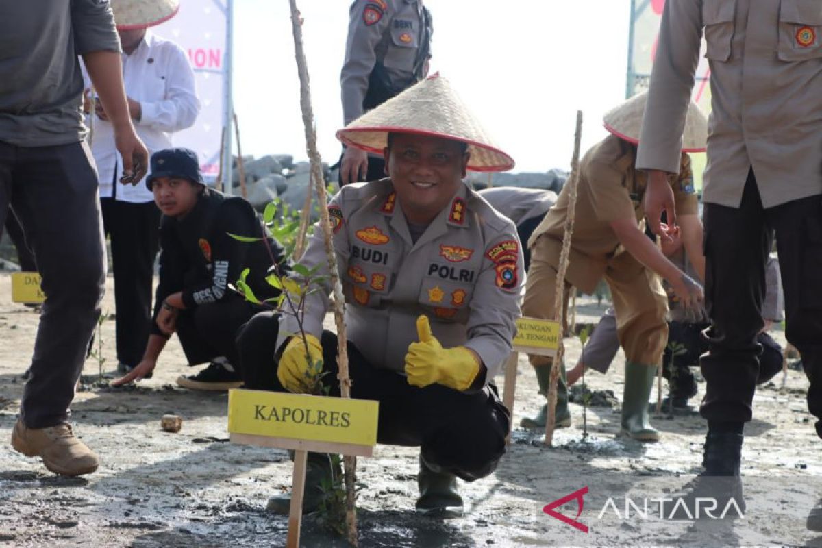 Polres Bangka Tengah tanam 1.000 bibit magrove di Pantai Penyak