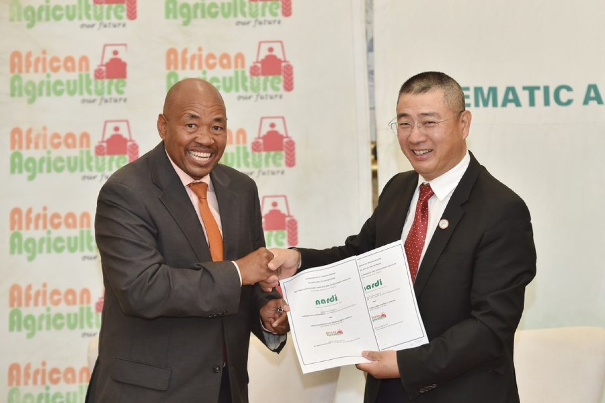 Botswana perkenalkan varietas baru padi tahan kekeringan