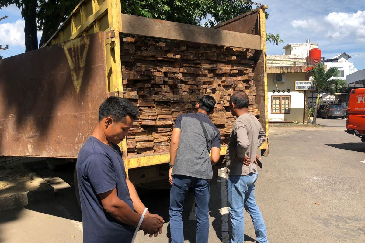 Polisi amankan truk angkut kayu ilegal di Jambi