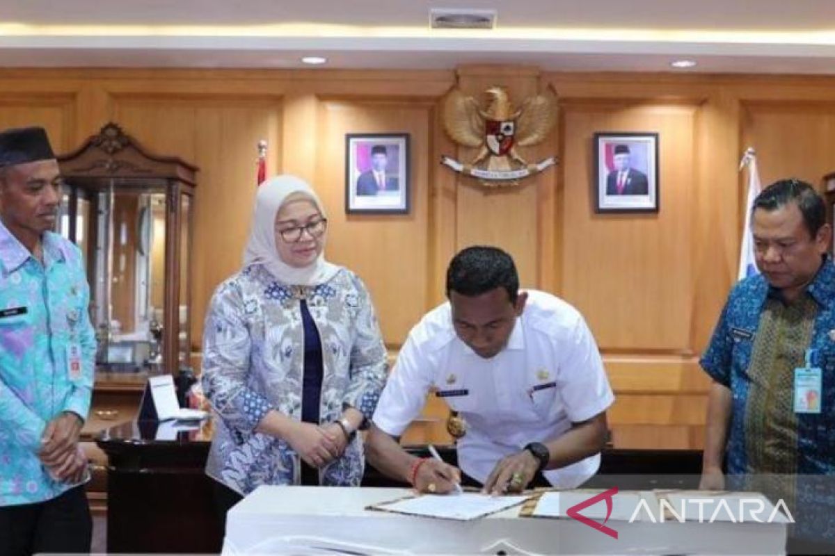 Babel Terima Sapi Kurban Presiden Jokowi Seberat Satu Ton Antara News Bangka Belitung 8315