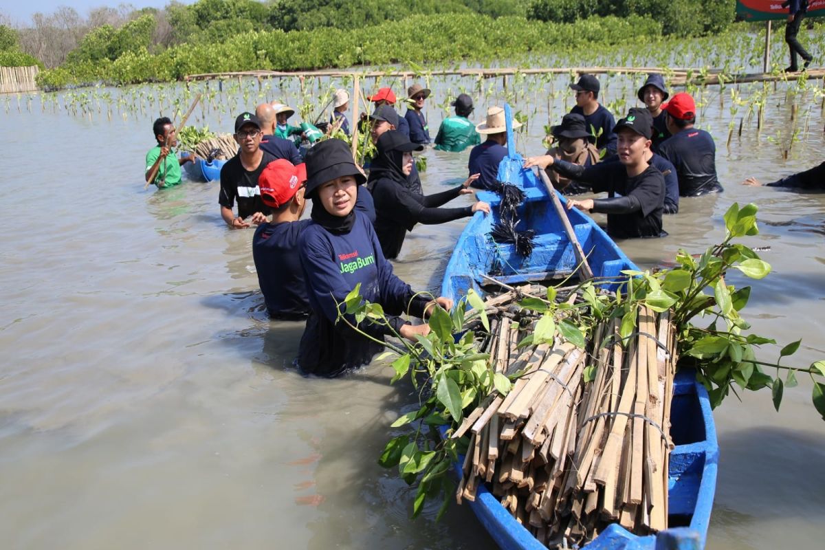 Melanjutkan program carbon offset, inisiatif Telkomsel jaga bumi tanam 15.060 pohon di kawasan hutan mangrove Indonesia