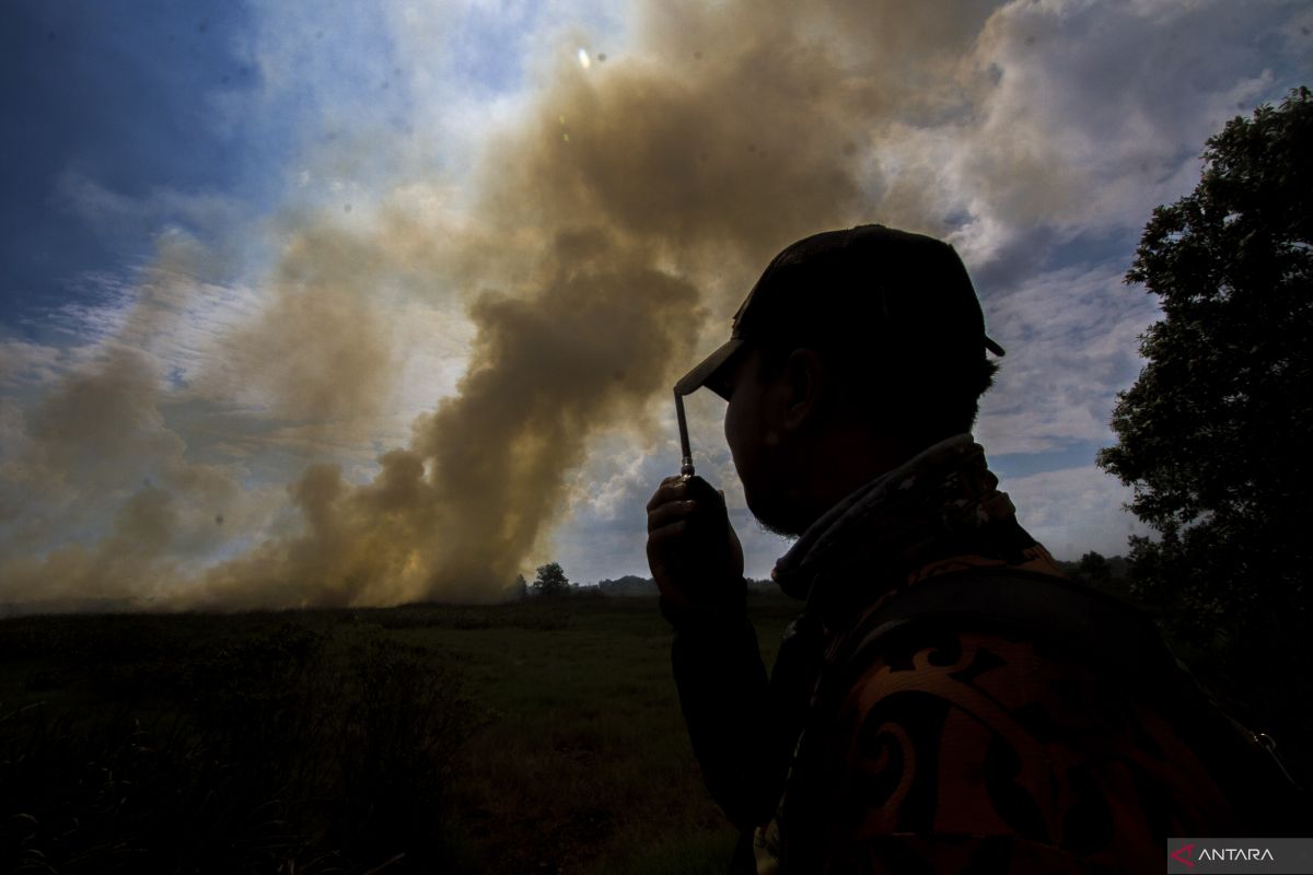 South Kalimantan BPBDs stamp out fires in two districts, a city