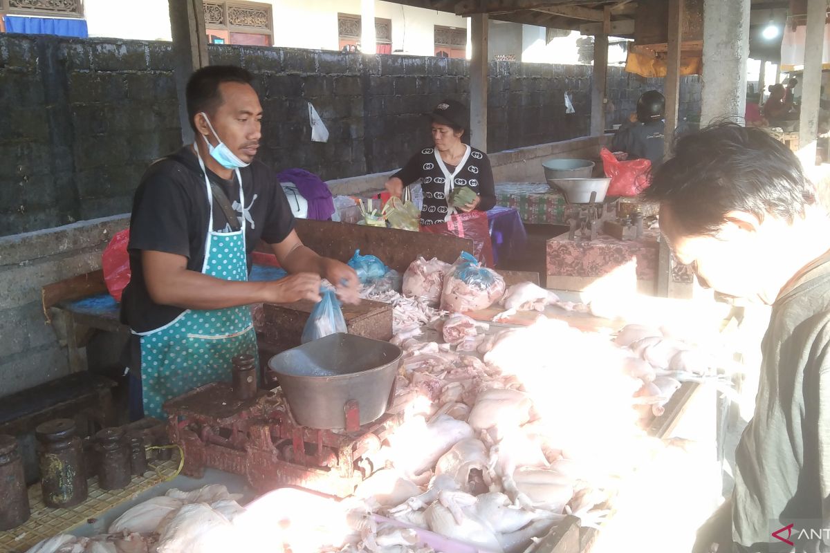 Harga daging sapi di Bali turun 4,6 persen jelang Idul Adha