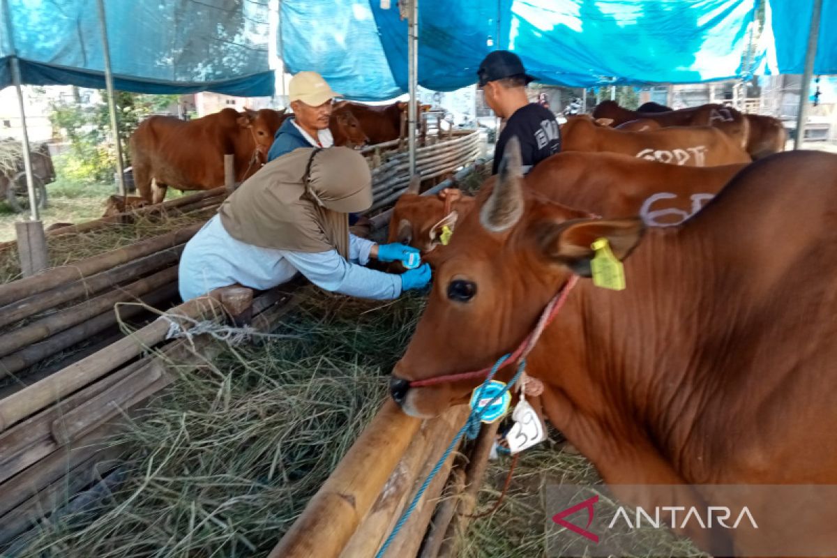 Jawa Barat turunkan sekitar 4.000 pemeriksa kesehatan hewan kurban