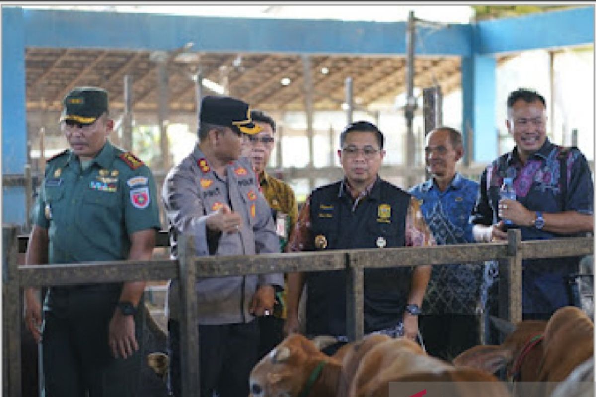 Banjarmasin pastikan stok bahan pokok dan hewan kurban mencukupi