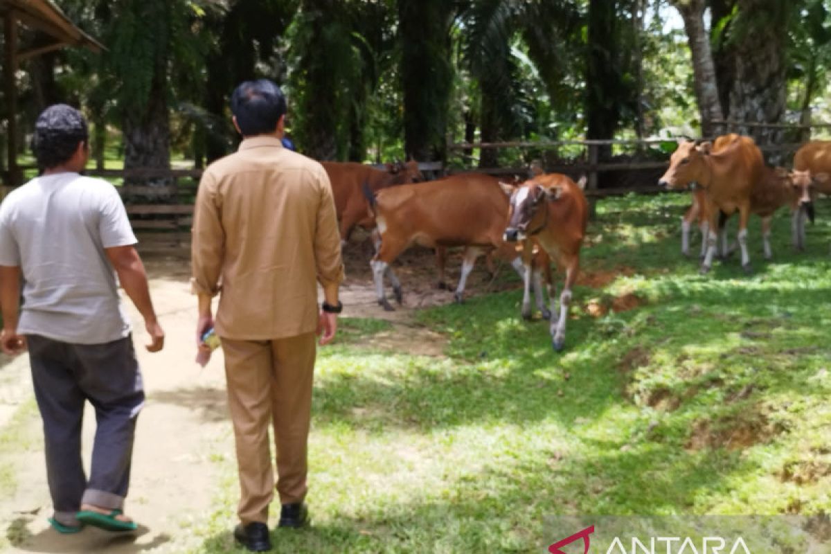 Pemprov Kalbar perkuat perkebunan dan peternakan berkelanjutan melalui SISKA