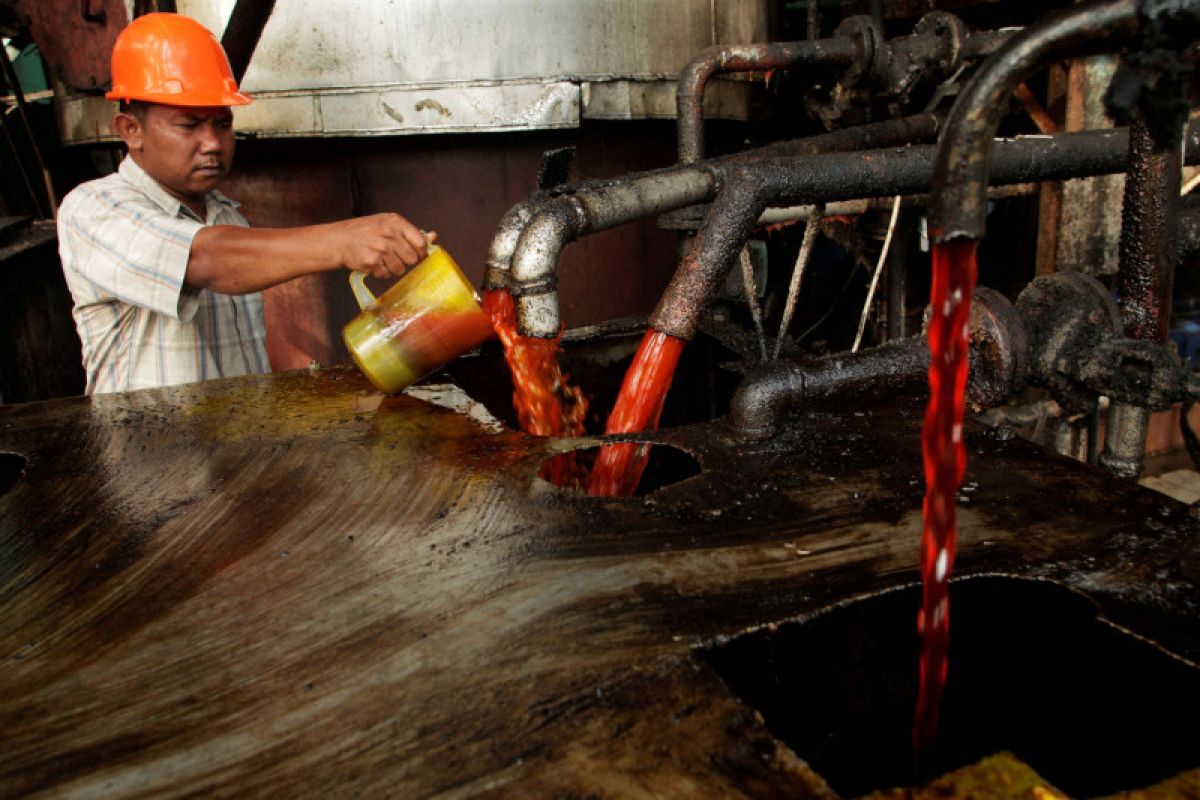 Impor minyak sawit India pada Juni naik 46 persen karena harga jatuh