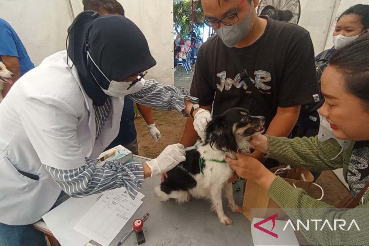 DKPP Kota Madiun beri vaksin rabies gratis hewan piaraan warga