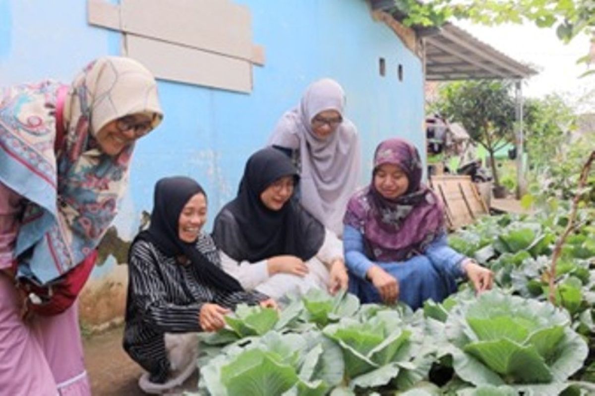 UI dukung pengembangan usaha pertanian organik di wilayah perkotaan