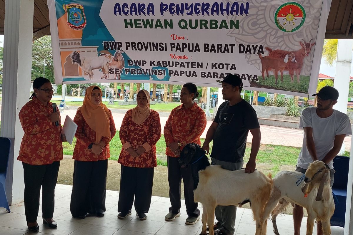 Dharma Wanita Papua Barat Daya salurkan 12 hewan kurban ke tingkat kabupaten/kota