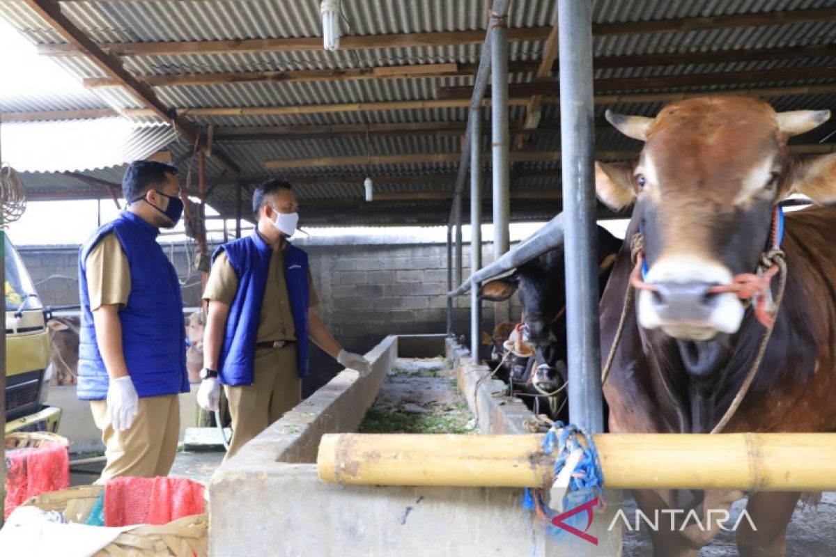 Penjualan hewan kurban di Kota Tangerang diprediksi meningkat