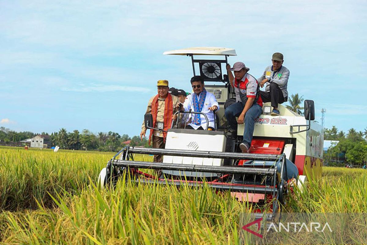 Mentan pastikan produksi beras aman hadapi El Nino