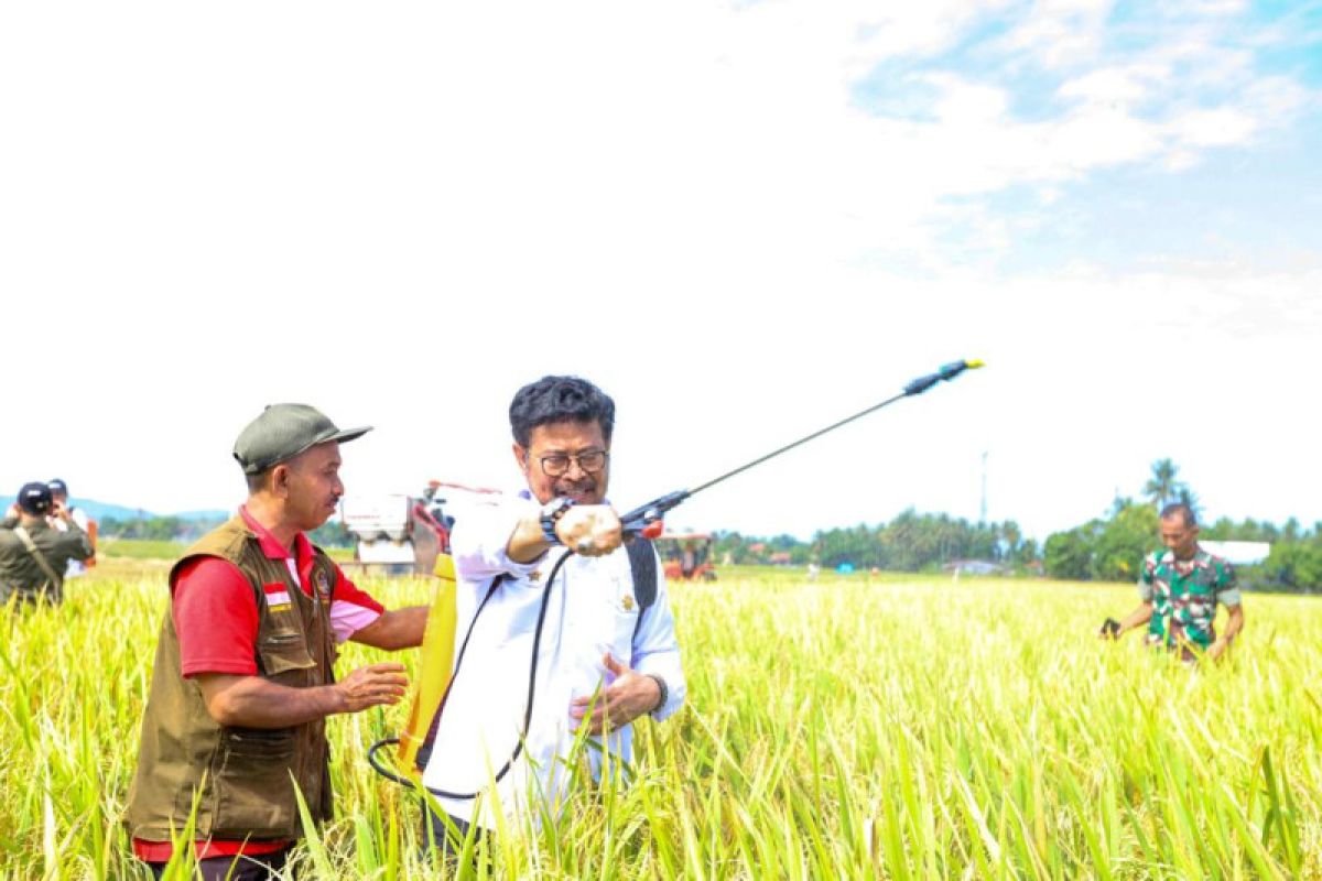 Kementan utamakan pertanian organik dalam menghadapi El Nino di 2023