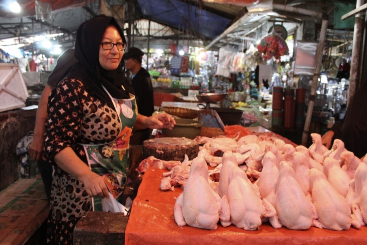 Stok ayam dan telur di Lampung cukup