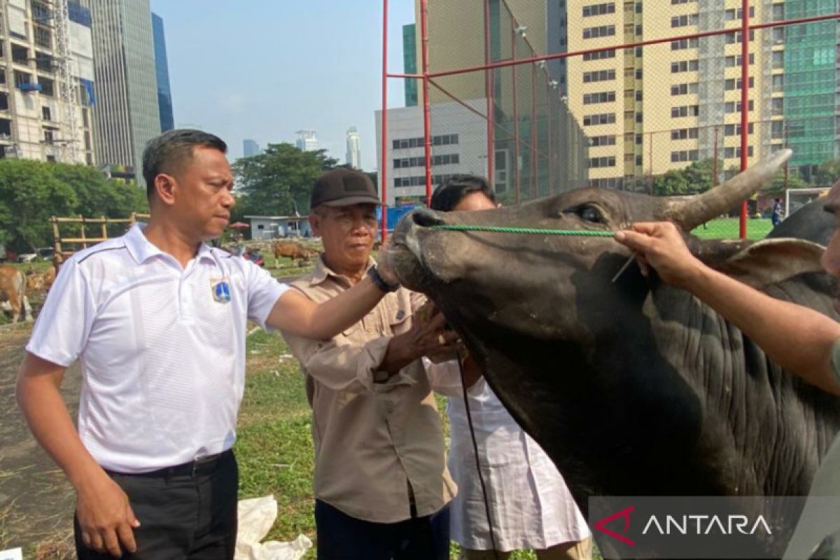 Pemkot Jaksel pastikan hewan kurban sehat miliki "barcode"