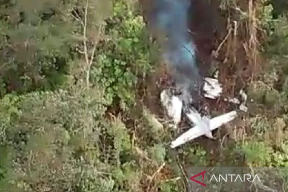 Tim SAR gabungan temukan pesawat PK SMW di hutan antara Elelim-Poik