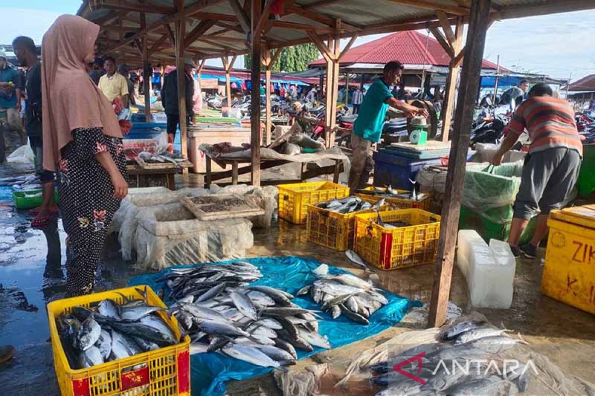 Harga ikan di Aceh Timur turun