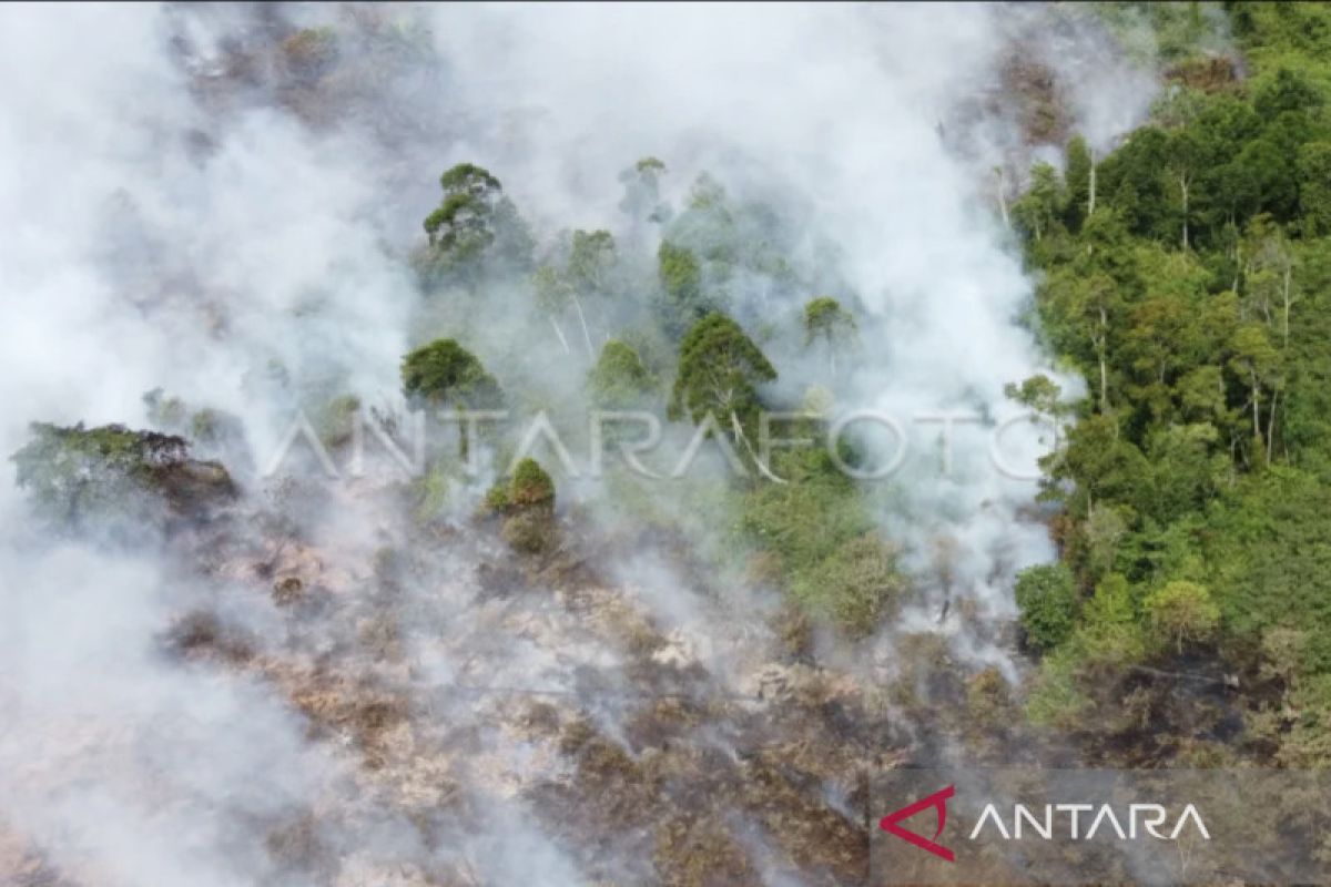 Luas lahan yang terbakar di Nagan Raya Aceh mencapai 23,5 Ha