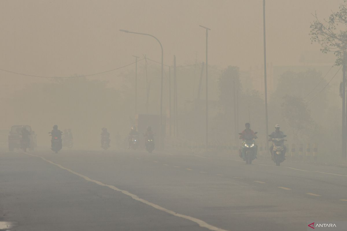 BMKG advises people in Banjarbaru to wear mask protecting from haze