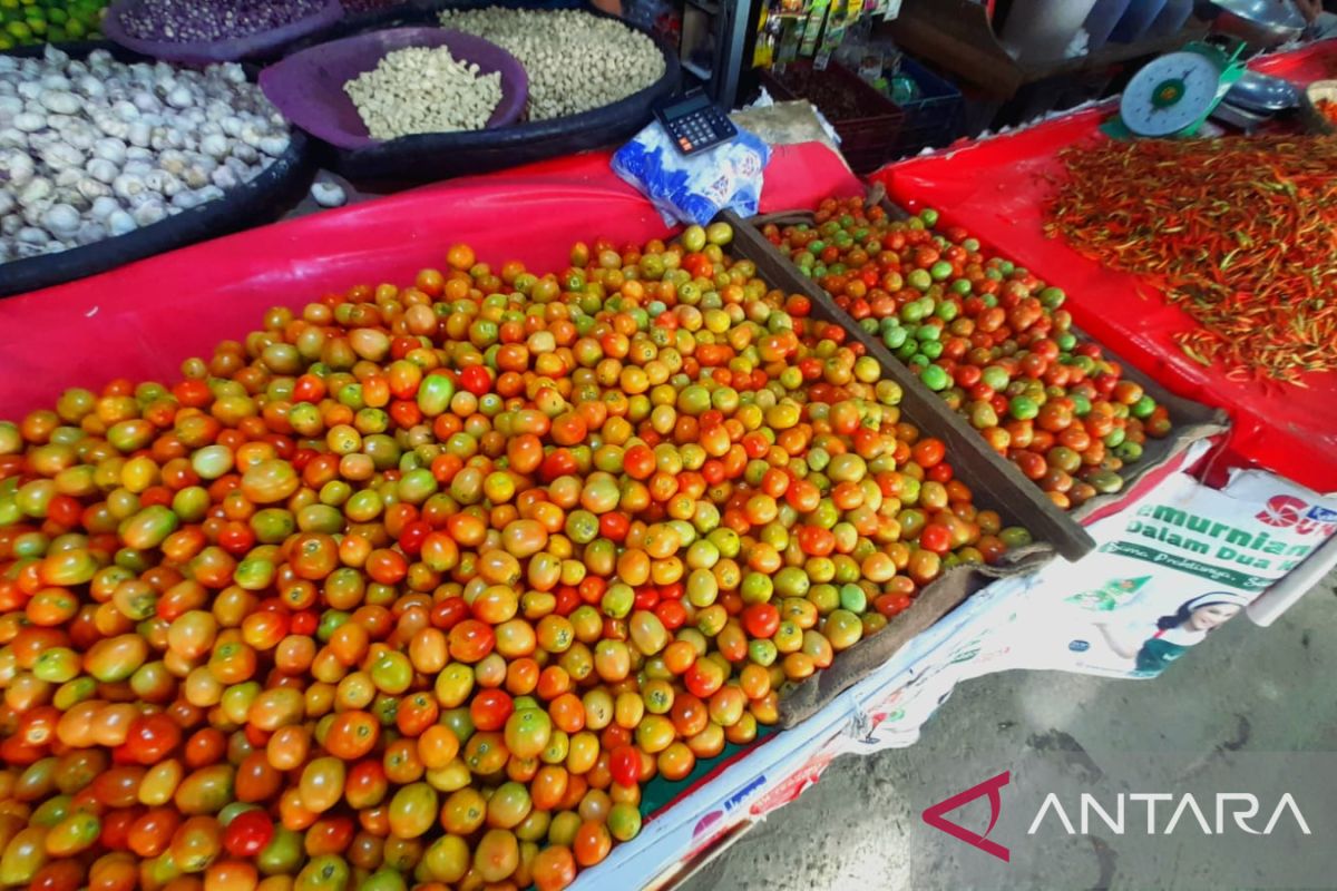 Harga tomat dan bawang di Gorontalo naik jelang Idul Adha