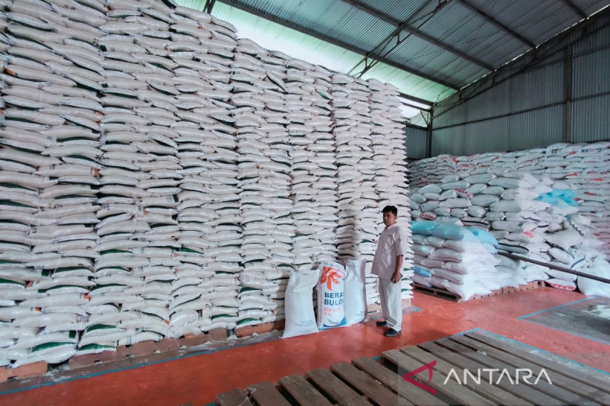 Bulog Rejang Lebong serap beras petani sebanyak 258 ton
