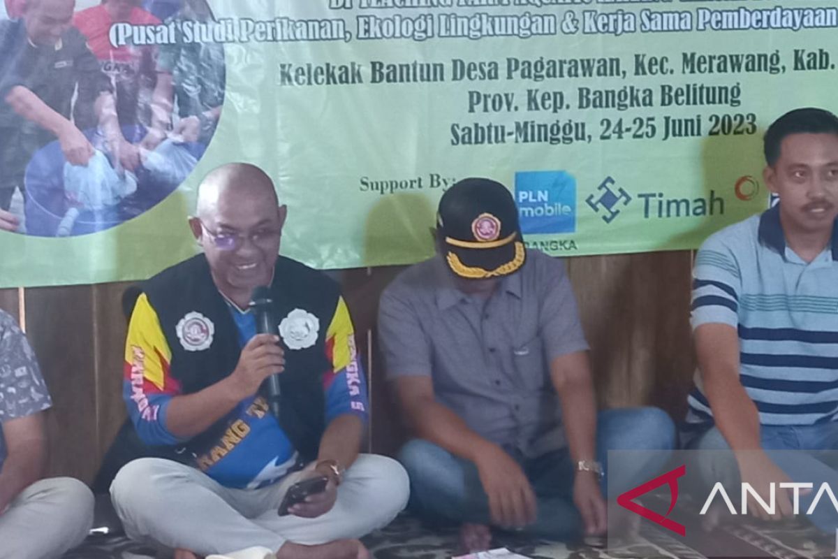 Karang Taruna Bangka tingkatkan SDM budidaya perikanan