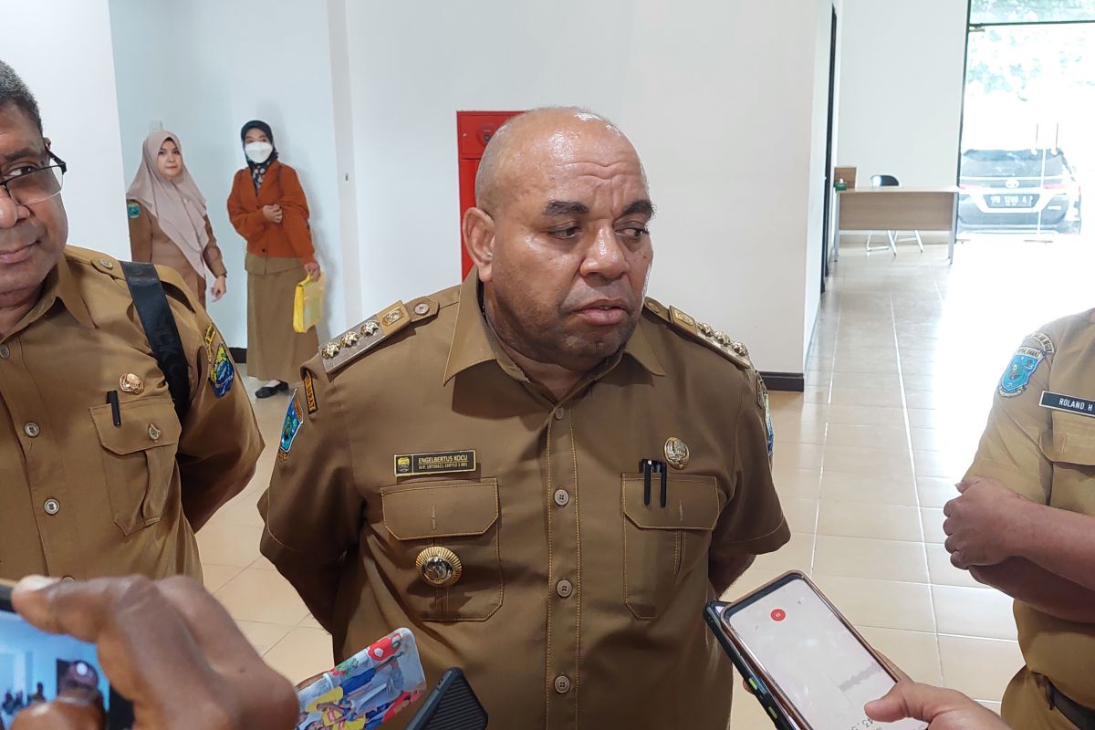 Pemerintah Tambrauw sumbang empat ekor sapi kurban untuk umat muslim