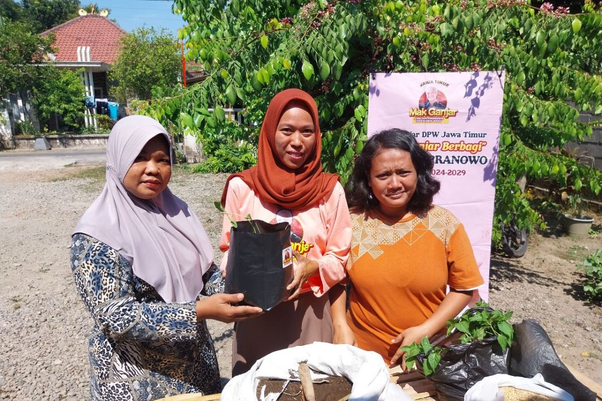 Relawan Mak Ganjar sarankan budi daya sayuran di pekarangan rumah