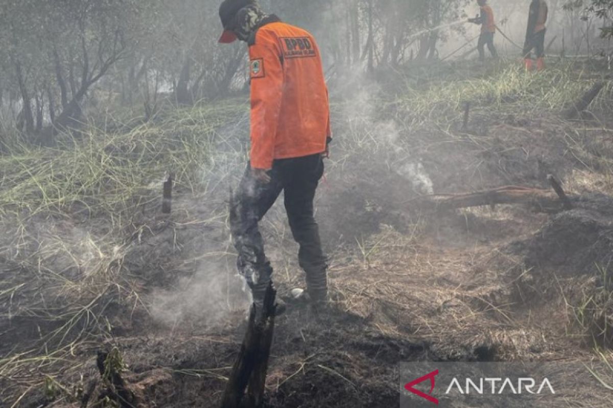 BPBD: Fires burn 163.15 hectares of forest, land in South Kalimantan