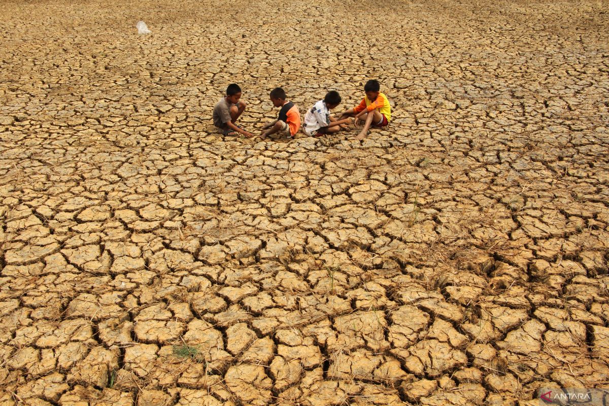 Govt will take cross-sectoral steps to anticipate El Nino: minister