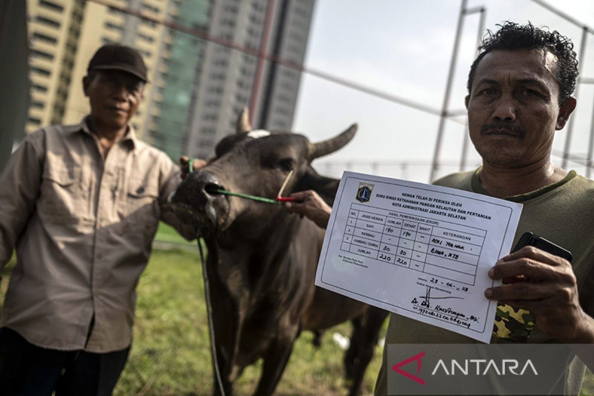 DKI kemarin, dari PPDB hingga pemeriksaan hewan kurban