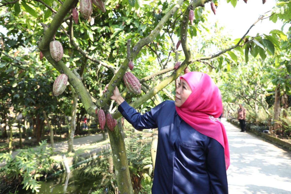 Gubernur Jatim minta daerah kembangkan potensi ekonomi desa 