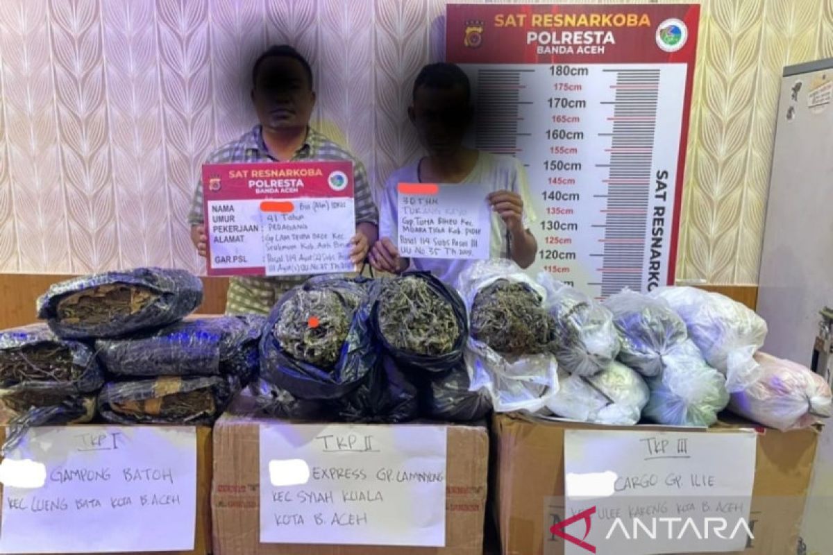 Polresta tangkap dua pengirim 24,6 kg ganja jaringan Aceh-Jakarta