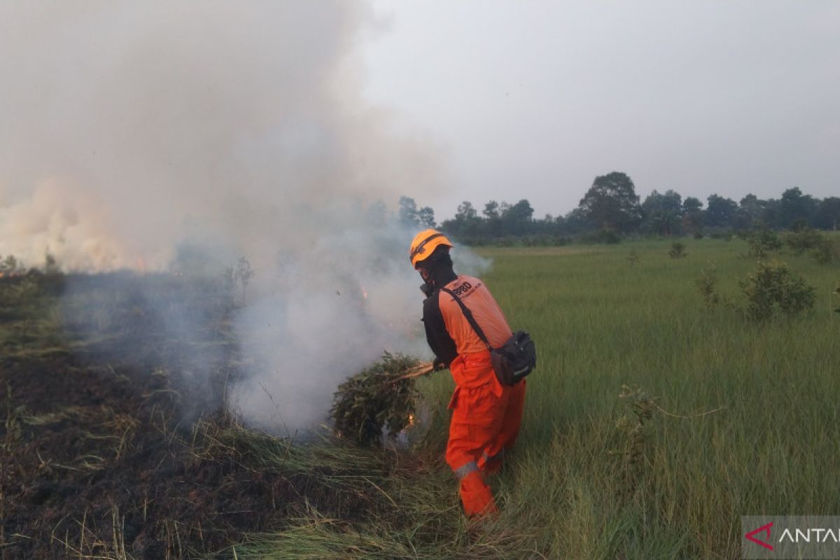 BPBD Kalsel siagakan lima posko cegah karhutla meluas