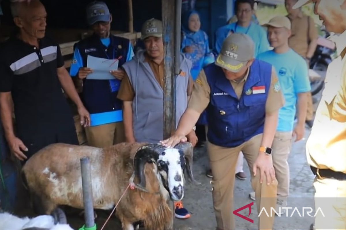 Wali Kota Sukabumi tinjau langsung penjualan hewan kurban