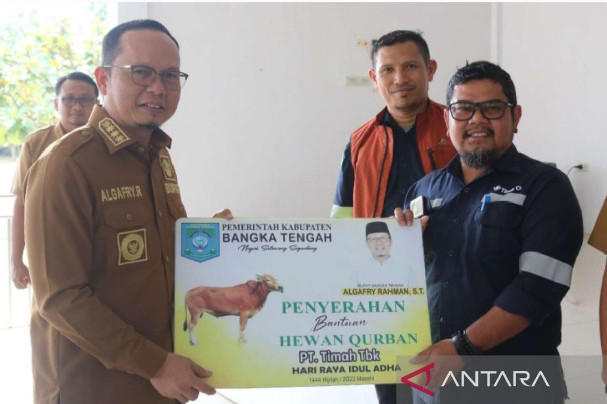 Pemkab Bangka Tengah distribusikan bantuan sapi kurban setiap desa