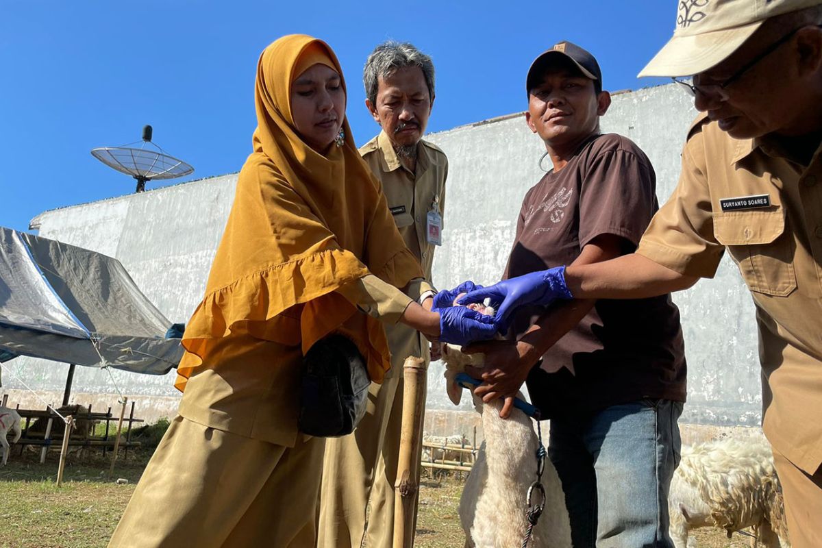 DKPPP Kota Probolinggo temukan hewan kurban sakit