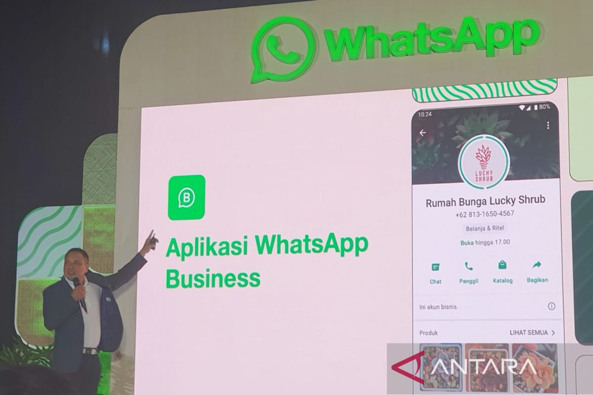 WhatsApp kenalkan fitur pesan berbayar untuk UMKM