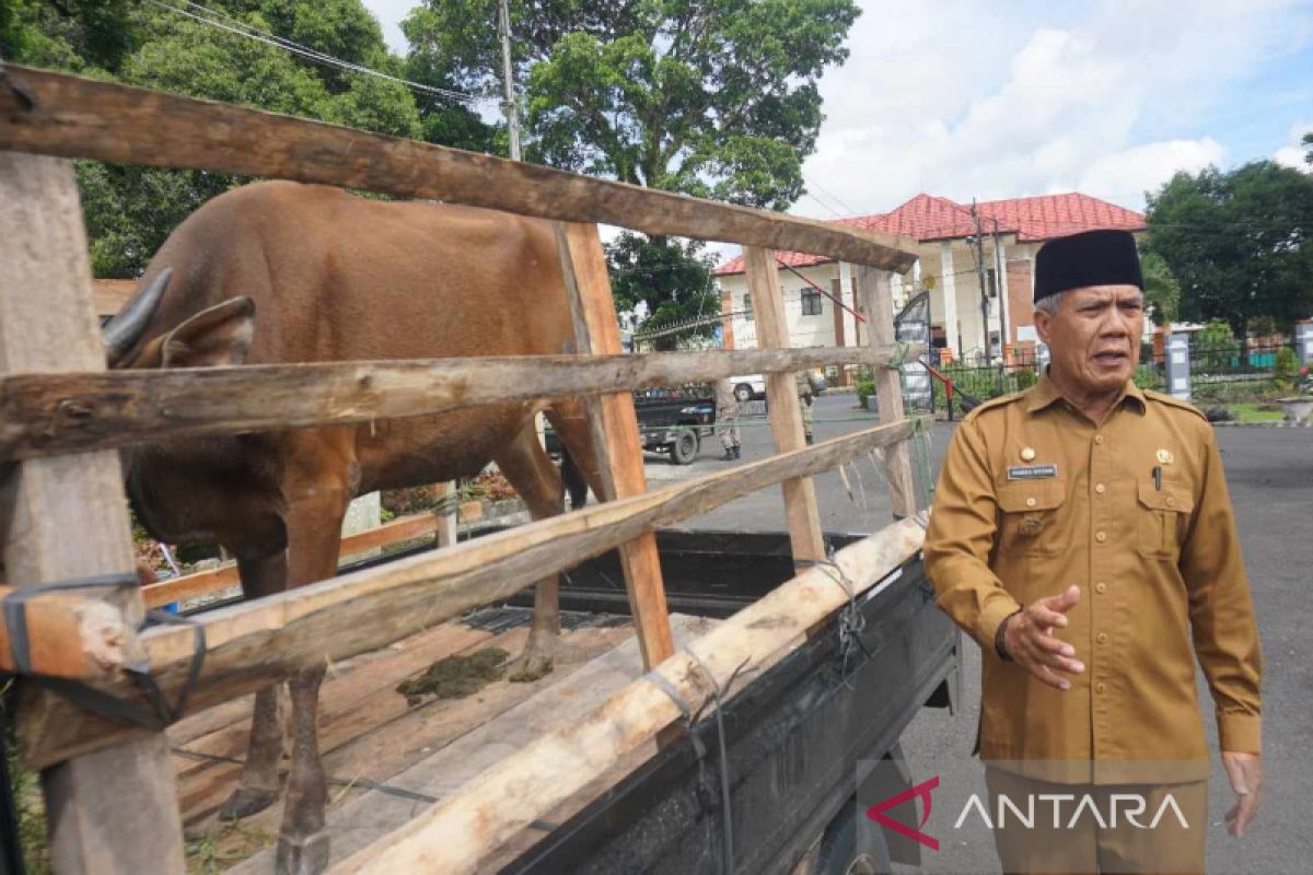 Pemkab Rejang Lebong siapkan delapan ekor hewan kurban