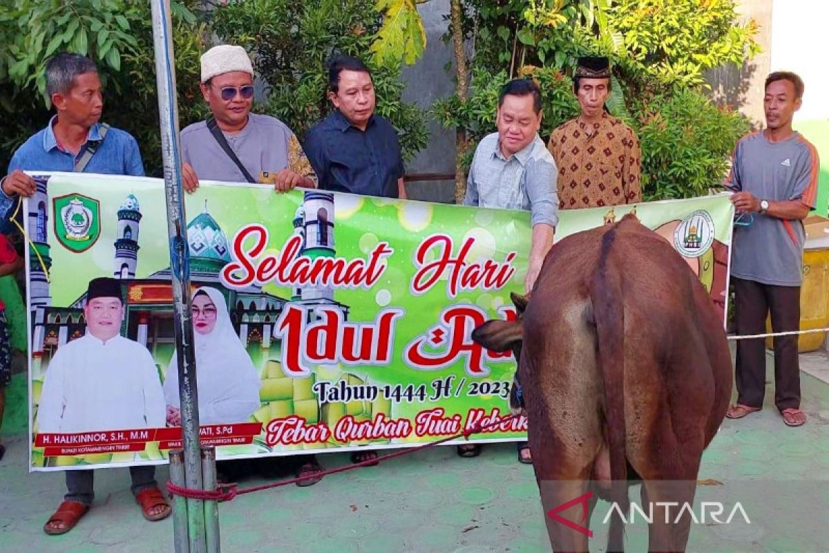 Bupati Kotim serahkan bantuan 120 sapi kurban