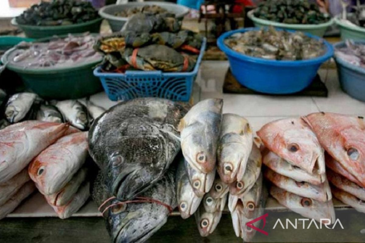 Pemkot Baubau sosialisasikan gemar memakan ikan turunkan stunting