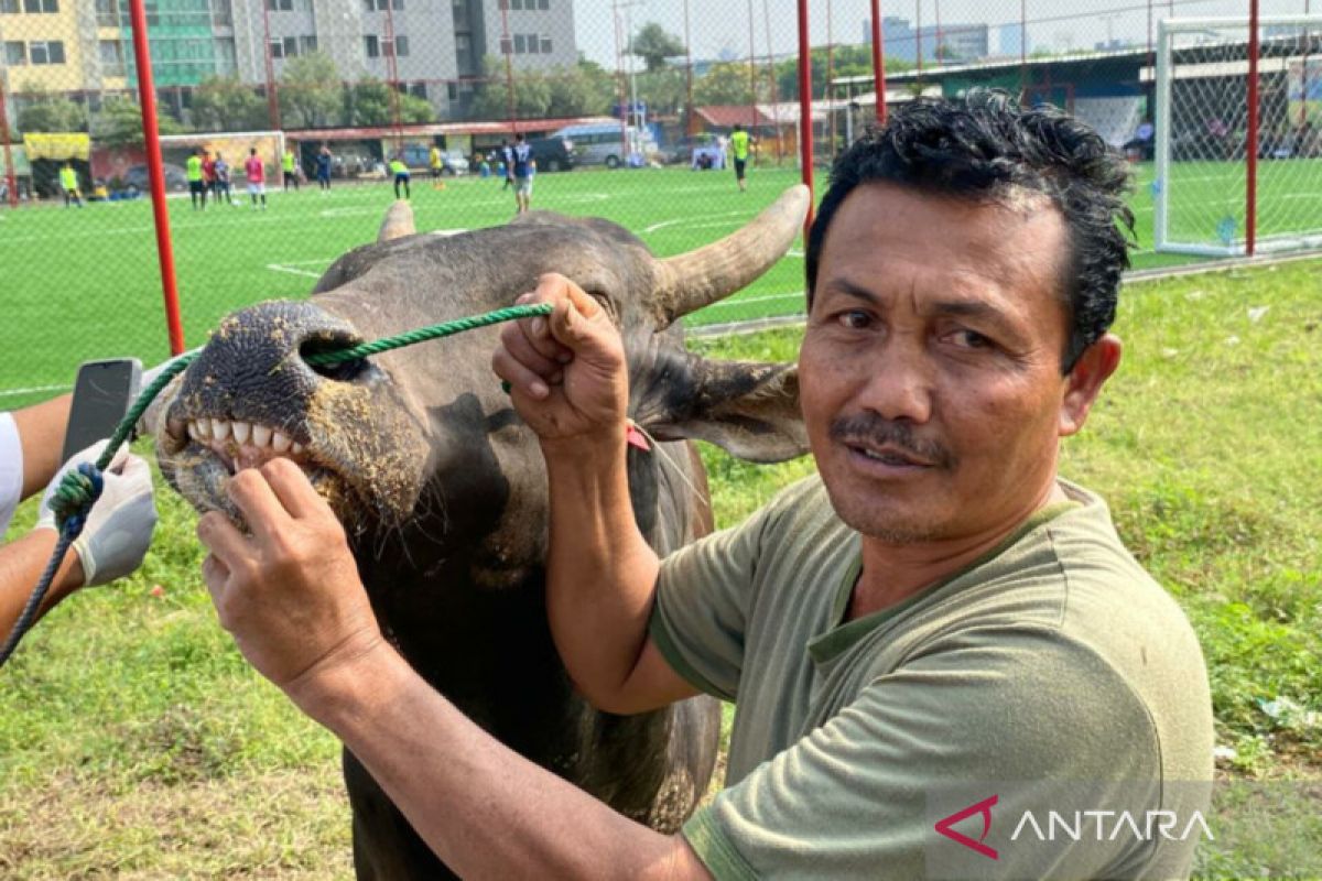 Jakarta Selatan edukasi peternak sapi untuk olah limbah