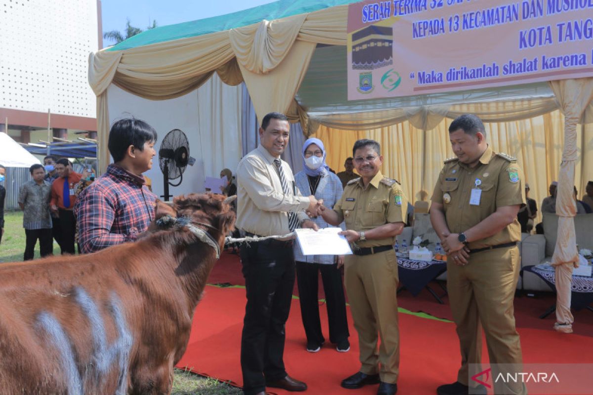 Pemkot Tangerang distribusikan 32 sapi bantuan RSUP Sitanala ke masjid/musala