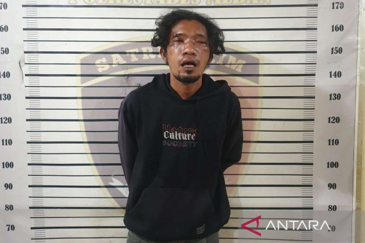 Polisi tangkap penarik becak aniaya pengemudi ojol di Medan